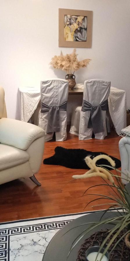 Lovely Cozy Apartment In The Entrance Of Nicosia Aglantzia Luaran gambar